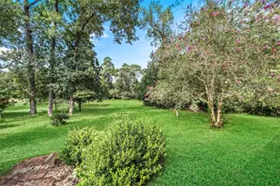 9069 Zapata Way, Willis, TX 77378 - Photo 18