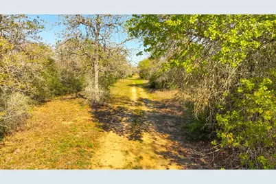 1147 Cr 249, Ottine, TX 78658 - Photo 4