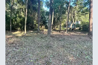 00 Kickapoo Trail, Willis, TX 77378 - Photo 2