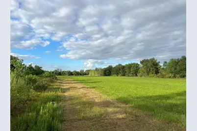 28144 Morton Road, Katy, TX 77493 - Photo 10