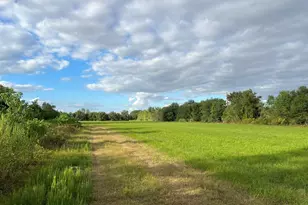 28144 Morton Rd, Katy, TX 77493 - Photo 10