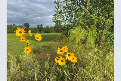 28144 Morton Road, Katy, TX 77493 - Photo 12