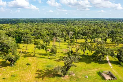 5745 County Road 823, West Columbia, TX 77486 - Photo 20