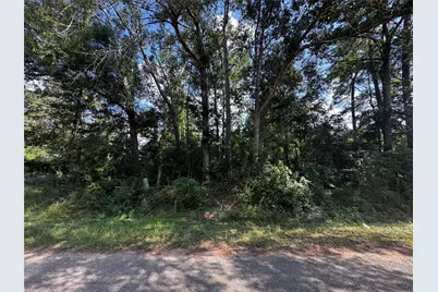 17625 Spanish Oak, Conroe, TX 77306 - Photo 1
