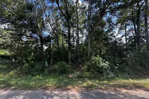 17625 Spanish Oak, Conroe, TX 77306 - Photo 1