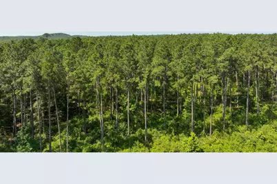 4 Highway 87, Milam, TX 75959 - Photo 2