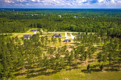 309 Rolling Pines Drive, Livingston, TX 77351 - Photo 34
