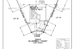 30410 Silverbell S, Fulshear, TX 77441 - Photo 4