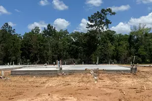 20835 Wildbird Cherry Ln, Porter, TX 77365 - Photo 32