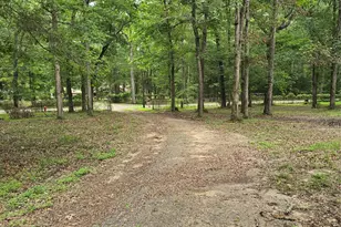 910 Ragsdale Springs Rd, Shepherd, TX 77371 - Photo 30