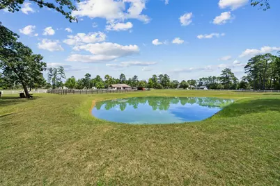 46509 McGill Road, Plantersville, TX 77363 - Photo 36