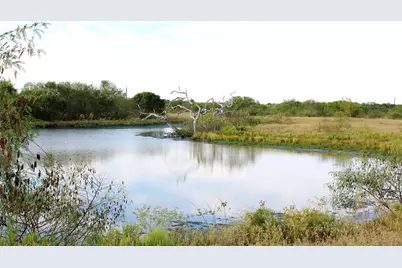 Parcel 1 Lobo Lane, Columbus, TX 78934 - Photo 2