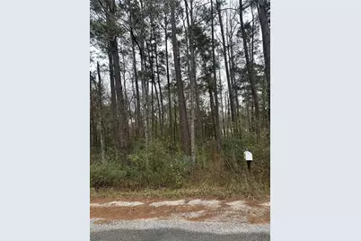 4 Yolanda Street, Huntsville, TX 77320 - Photo 4