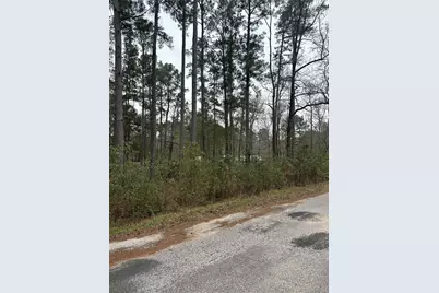 4 Yolanda Street, Huntsville, TX 77320 - Photo 2