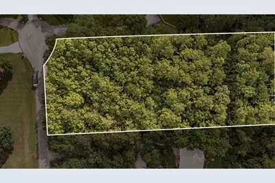 29310 Deer Creek, Magnolia, TX 77355 - Photo 4