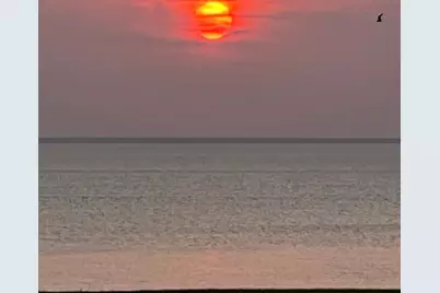 25610 Spotted Sandpiper Drive, Galveston, TX 77554 - Photo 8