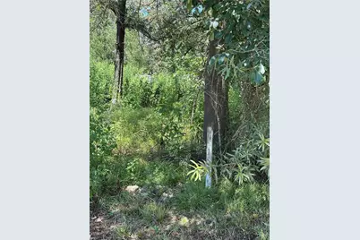 389 E Sherwood Drive, Livingston, TX 77351 - Photo 2