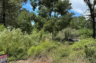 389 E Sherwood Dr, Livingston, TX 77351 - Photo 1