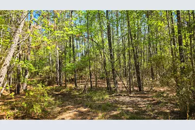Tbd F M 2457, Livingston, TX 77351 - Photo 24