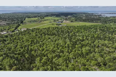 Tbd F M 2457, Livingston, TX 77351 - Photo 16