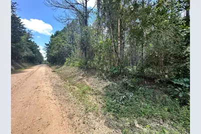 Tbd County Road 4210, Woodville, TX 75979 - Photo 16