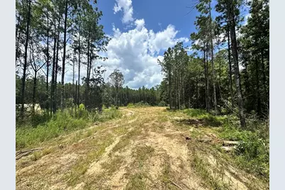 Tbd County Road 4210, Woodville, TX 75979 - Photo 4