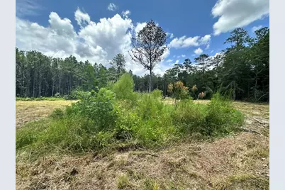 Tbd County Road 4210, Woodville, TX 75979 - Photo 14