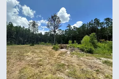 Tbd County Road 4210, Woodville, TX 75979 - Photo 2