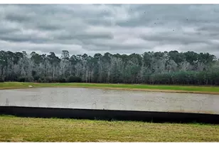 115 Resilient Gale, Magnolia, TX 77354 - Photo 18