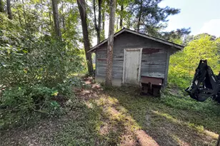 4011 County Rd 3775, Colmesneil, TX 75938 - Photo 20