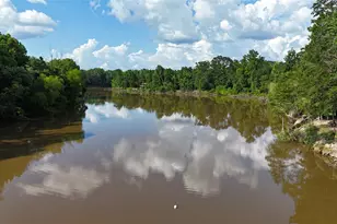 4011 County Rd 3775, Colmesneil, TX 75938 - Photo 4