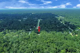 121 Elendor Dr, Cleveland, TX 77328 - Photo 38