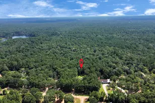 121 Elendor Dr, Cleveland, TX 77328 - Photo 36