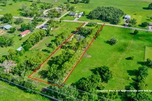 1561 County Rd 797, Brazoria, TX 77422 - Photo 46