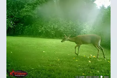 6911 Sprigg Street, Fulshear, TX 77441 - Photo 46