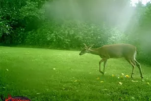 6911 Sprigg St, Fulshear, TX 77441 - Photo 46