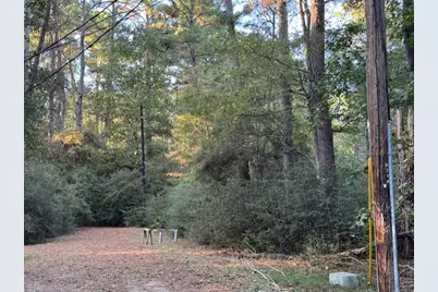 70 Quail Trail, Trinity, TX 75862 - Photo 8