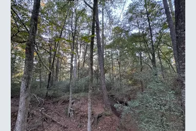 70 Quail Trail, Trinity, TX 75862 - Photo 10