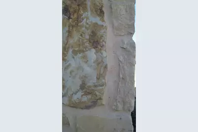 2304 Three Wood Way, Navasota, TX 77868 - Photo 4