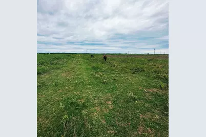 1249 Country Road 141, Garwood, TX 77470 - Photo 10