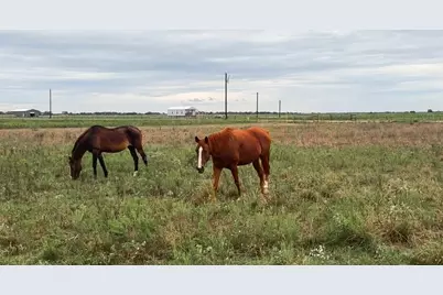 1249 Country Road 141, Garwood, TX 77470 - Photo 12