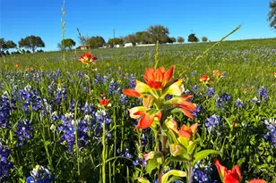 9058 Sam Houston Rd, Brenham, TX 77833 - Photo 2