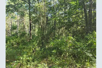 4863 Hickory Hill Road, Navasota, TX 77868 - Photo 6