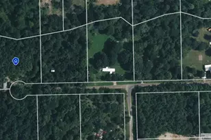 4863 Hickory Hill Rd, Navasota, TX 77868 - Photo 4