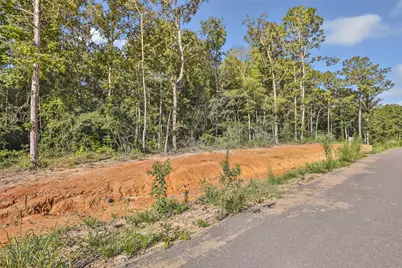 238 Kings Court, Dayton, TX 77535 - Photo 12