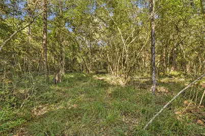 238 Kings Court, Dayton, TX 77535 - Photo 4