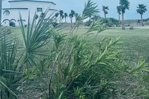 17009 San Luis Pass Rd, Galveston, TX 77554 - Photo 6