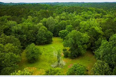 1951 Fm 1514 Road, Coldspring, TX 77331 - Photo 22