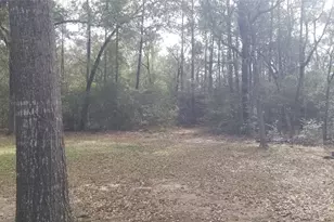 19190 Todd Rd, Magnolia, TX 77355 - Photo 14