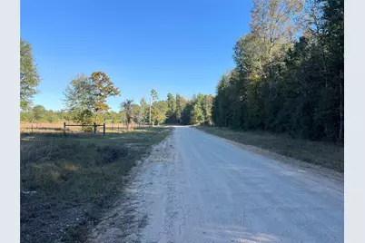 3711 Felix Currie Road, Point Blank, TX 77364 - Photo 12